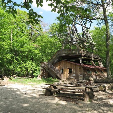 Вилла Ochys Waldfreizeitpark Oberkreuzstetten Экстерьер фото